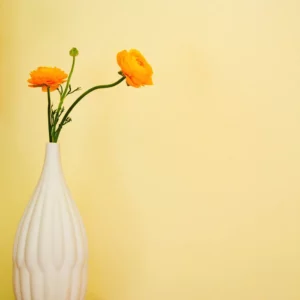 Collection de 3 Vases en Porcelaine Texturée