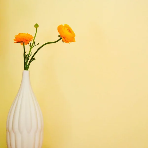 Collection de 3 Vases en Porcelaine Texturée